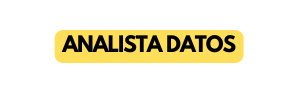 ANALISTA DATOS
